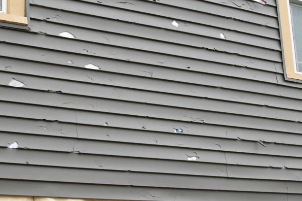 Professional Siding Installation & Repair in Welsh, LA